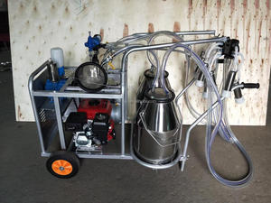 Machine à traire les vaches mobile, double alimentation essence <span class=keywords><strong>et</strong></span> électrique, avec seau en acier inoxydable 304 pour ferme laitière - Product Image 5