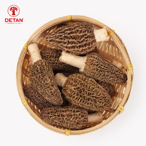 DETAN 2023 bonne qualité, tige naturelle fraîche, sauvage, Morchella, Conica, champignon, <span class=keywords><strong>prix</strong></span> - Product Image 1
