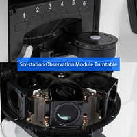 Industrial Inverted Metallographic Testing Advanced Microscope for Rapid Analysis of Large or Thick Samples