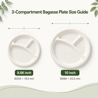 Assiette jetable en bagasse de 10 pouces sans plastique, compartimentée, pour la préparation des repas, les cantines scolaires et la restauration