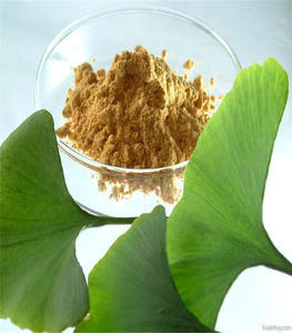 Premium Quality Ginkgo Biloba Extract <b>Powder</b> with Fine <b>Texture</b> and Natural Aroma Ideal for Herbal Blends Beverage Formulations - Product Image 1