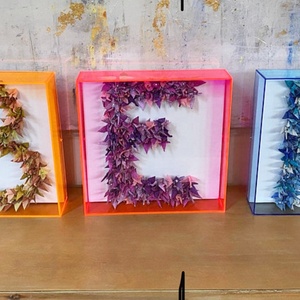 Neon Acrylic Bóng Hộp Khung Ảnh Khung Ảnh Trang Trí Nội Thất DIY Hiển Thị Trường Hợp Lucite Huỳnh Quang Hộp Bộ Nhớ Cho Hoa Khô - Product Image 3