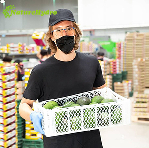 Factory Produce Plastic PP White Avocado Export <strong>Packing</strong> <strong>Crates</strong> for Shipping - Product Image 6
