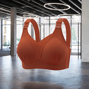Estate <span class=keywords><strong>senza</strong></span> fili <span class=keywords><strong>nuovo</strong></span> stile sottile Beauty Back Anti-esposizione lato raccogli <span class=keywords><strong>reggiseno</strong></span> Push-Up da donna <span class=keywords><strong>reggiseno</strong></span> Plus Size - Product Image 2
