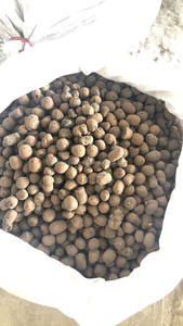 Sud-est Asie Offre Spéciale Leca <span class=keywords><strong>Argile</strong></span> Expansée Boules Hydrotonic <span class=keywords><strong>Argile</strong></span> Expansée Pellets Pour hydroponique Jardin - Product Image 3