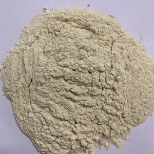Food Grade Vital Wheat Gluten Powder ISO Certified for Bakery & Vegan Meat Bulk Supply