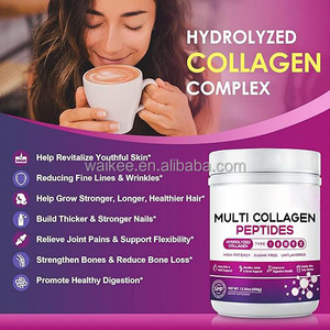 Poudre de peptides de collagène multi-sources en gros, marque privée, protéines de collagène hydrolysées types I, II, III, V, X, sans sucre, 350g en vrac - Product Image 4