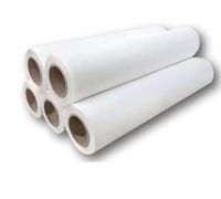 Film de transfert thermique DTF automatique premium 30cm/33cm/60cm/63cm PET à pelage à chaud/froid pour l'impression de t-shirts et l'industrie du vêtement