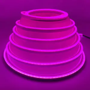 Puur Siliconen Flex Neon Waterdicht 12V 6*12Mm Directe Verkoop Gouden Leveranciers Led Neon Strip Licht