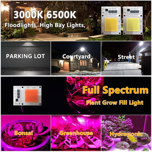 Bo Mạch Nguồn Ánh Sáng Tuyến Tính <span class=keywords><strong>Chip</strong></span> <span class=keywords><strong>LED</strong></span> <span class=keywords><strong>COB</strong></span> 10W 20W 30W 50W Điện Áp Cao AC 220V Trắng Ấm Áp Mát Mẻ Đèn Trồng Cây Toàn Phổ - Product Image 6