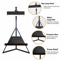 Lampe de bureau simple - Matériel - Branchement direct - Interrupteur - Gradateur - Artistique - Lecture - Ambiance décorative - Lampe LED