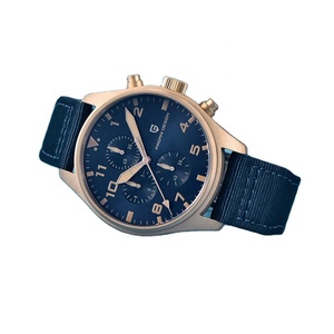 นาฬิกาควอตซ์ PAGANI DESIGN รุ่น 1703 สำหรับผู้ชาย ดีไซน์ทันสมัย ฟังก์ชั่นหลากหลาย เรืองแสง กันน้ำ สีบรอนซ์ - Product Image 5