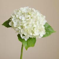 JIN PENG Real Touch Latex Hortensia Kunstbloem Groen Wit voor Bruiloft Huis Trend Decoratie
