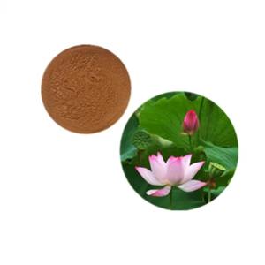 Lian Ye Groothandel 100% Puur Gedroogd Lotusblad <span class=keywords><strong>Extract</strong></span> Poeder 98% Nuciferine Kruid Specerij Export Rauw - Product Image 5