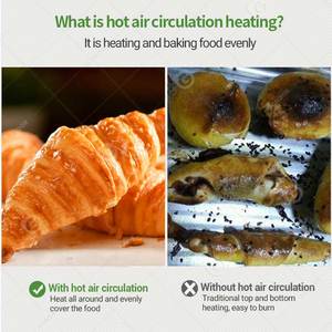 10 Khay Thương Mại Đối Lưu Gas Oven - Product Image 3