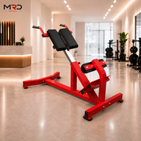 MRD Chaise romaine en acier de haute qualité, réglable, durable et sécurisée, équipement de fitness pour étirements du dos, entraînement des fessiers et renforcement du tronc