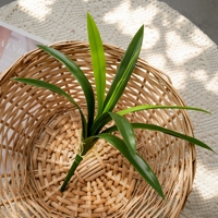 Kunstmatige Cymbidium Orchidee Bladeren Steel Decoratief Groen voor Bloemstukken Thuis