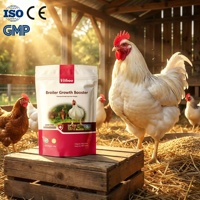 Prémélange concentré pour volailles Vitboo OEM, stimule la croissance des poulets de chair, engraissement rapide, améliore le taux de conversion des aliments, paquet de 1 kg