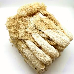 Jamur Bambu Kering Phallus Impudicus Alami Pilihan & ZhuSun - Product Image 2