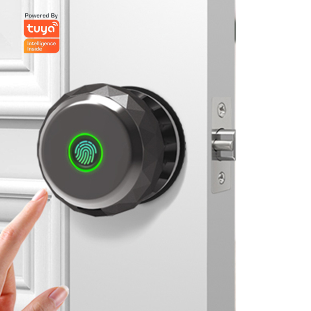 Keyless Ball Knob Bedroom Door Lock Wireless Fingerprint Tuya App Smart Door Lock