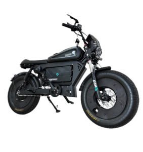 Bicicleta de Montaña Todoterreno Profesional y Bicicleta Eléctrica Urbana para Adultos, con Neumáticos Anchos para Desplazamientos, Modelo SK-2 - Product Image 5