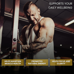 Capsules d'acides aminés essentiels en marque blanche OEM – Soutien nutritionnel quotidien pour la vitalité corporelle et la santé métabolique – Vente en gros - Product Image 6