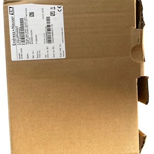 Interrupteur de niveau vibrant Endress + Hauser FTL51B 316L OEM personnalisé E+H pour tous les milieux, garantie 1 an - Product Image 4