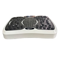 Mini plaque vibrante d'exercice, 99 niveaux de vitesse avec musique Bluetooth et vibrations de 5 mm pour la remise en forme à domicile