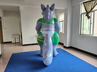 Beile personnalisé modèle de dragon Mecha en PVC gonflable vert de 2.5m pour une utilisation en extérieur et en arrière-cour