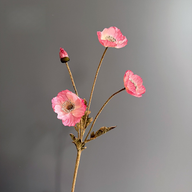 Pink1