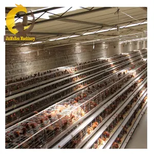 Jinmuren büyük indirim tavuk çiftliği ekipmanları tavuk yumurtlama kafesi otomatik yumurta toplama sistemi