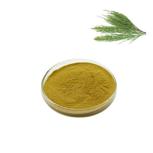 En çok satan Equisetum Arvense özü yüksek kaliteli saf atkuyruğu çim özü 10:1 toplu fiyat ile - Product Image 2