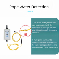Détecteur de fuite d'eau sans fil IoT Lora Thingsend, alarme, sonde IP67, autonomie de 5 ans, montage mural, niveau de liquide à distance