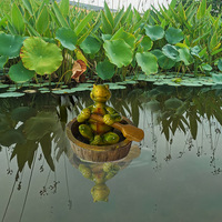 Ornement de réservoir à poissons, grenouille, tortue, statue d'animal flottante pour la cour, sculpture décorative d'extérieur, réaliste, étang de jardin, mignon, pour la maison