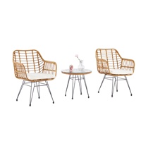 Ensemble de jardin en rotin en vrac Ensemble de tables et de chaises d'extérieur Chaise de salle à manger d'extérieur Chaise en rotin en plastique