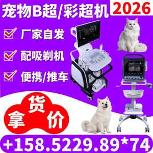 Appareil d'échographie vétérinaire portable Kaier avec Doppler couleur pour le diagnostic des chiens, des chats et des animaux de compagnie - Product Image 5