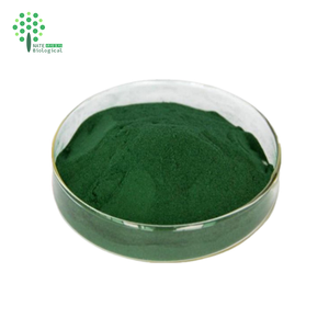 Nhà máy cung cấp 15% 95% Natri Đồng chlorophyllin lá dâu tằm chiết xuất bột với số lượng lớn - Product Image 1