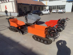 <span class=keywords><strong>2025</strong></span> nouveau mini dumper hydraulique sur chenilles RIMA, transporteur portable certifié CE pour la construction/utilisation agricole (usine directe) - Product Image 6