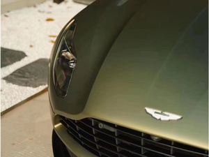 Popolare pellicola per imballaggio per animali in oro verde fantasma in oro opaco per auto in oro opaco con colori resistenti ai graffi - Product Image 6