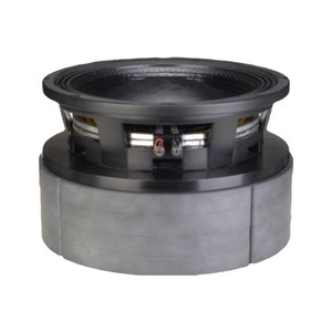 Subwoofer Huiyin Factory 12 pouces 2500 W RMS, bobine vocale à 4 aimants, pour scène, bar, karaoké, cinéma - Product Image 1