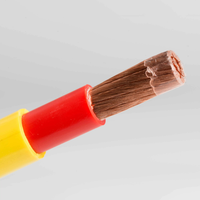Hochflexibles 10 25 35 50 70mm 95mm² Reinkupfer-Schweißkabel Isoliertes Doppelgummi-Kabel zum Schweißen Fabrikpreis