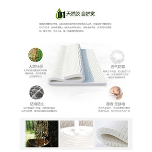 Colchón Ortopédico Extra Firme 1500x2000mm 1800x2000mm Transpirable Ecológico Diseño Moderno Uso Doméstico y Hotelero - Product Image 4