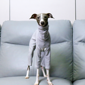 Camiseta para Perro de Cuatro Patas, para <span class=keywords><strong>Galgo</strong></span> Italiano XXL, Suave, Elástica, Delgada, de Poliéster, para Todas las Estaciones, CHOUCHOU-28 - Product Image 6