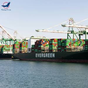 Профессиональный DDP DDU от двери до двери море воздушная логистика доставка Китайский экспедитор безопасный агент в Индию Пакистан - Product Image 4