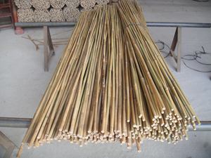 Materiali Grezzi in Legno Naturale e Prodotti in Bambù all'Ingrosso |   Forniture Agricole Premium - Product Image 4