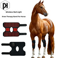 Nouvelle lampe de thérapie infrarouge pour les genoux d'équidés, la plus vendue, pour la récupération des blessures sportives ; Lampe de thérapie articulaire infrarouge pour chevaux