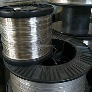 Nikkelvrij 0.3Mm * 4Mm Flexibel En Anti-Allergisch Voor Brillenframes En Medische Hechtingen Titaniumdraad - Product Image 6