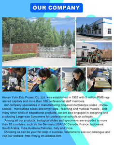 طقم ممارسة خياطة الأسنان من السيليكون الطبي Sciecne ، نموذج الأسنان وسادة الممارسة لممارسة طب الأسنان ، خياطة لأغراض تعليمية - Product Image 5