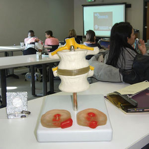 Modèle anatomique de la colonne vertébrale humaine avec deux disques intervertébraux lombaires et deux lésions Matériau en PVC Structure anatomique vive - Product Image 3