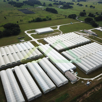 Complete turnkey oplossing voor grote schaal groenten- en sierplantenteelt in multi-span commerciële kassen met PE-folie afdekking